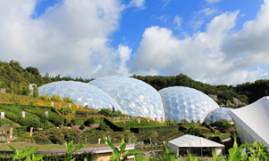 Rüzgar ve depreme dayanıklı ‘biodome' evler!